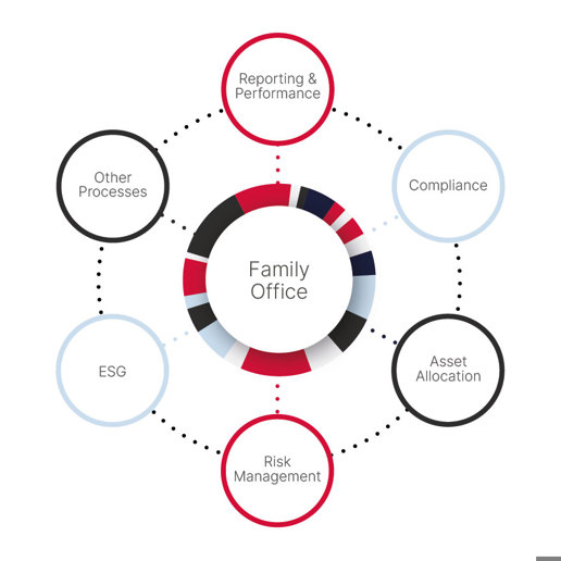 Overblik over hvilke områder, som PORTMAN til Family Office kan hjælpe med at optimere din forretning